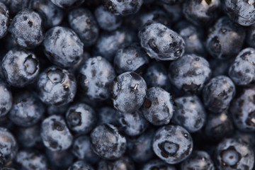 close up view of tasty wet organic blueberries