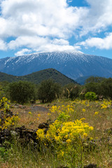 Fototapeta na wymiar View on dangerous active stratovolcano Mount Etna on east coast of island Sicily, Italy
