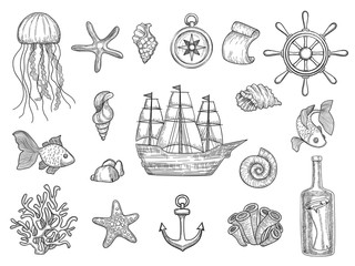 Marine symbols. Fish ship shells boats ocean symbols sailboat vector nautical collection. Illustration of boat, marine shell and anchor, fish and starfish