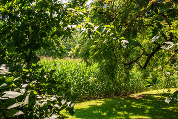 Old covered bridge in Virginia