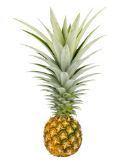 Fototapeta premium pineapple isolated on white background. Save with clipping path