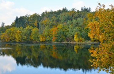 yellowish trees reflected in the water of the lake