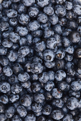 top view of delicious ripe organic blueberries