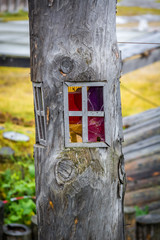Beautiful window garden at home
