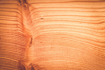 cross section of various patterned trees