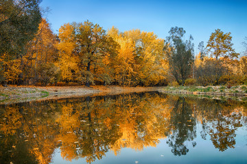 Beautiful autumn landscape. Golden forest and lake in sunny weather