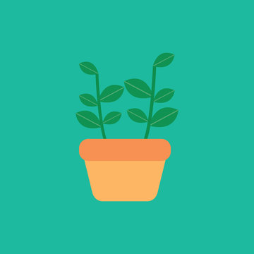 potted houseplant vector illustration. pot plant.