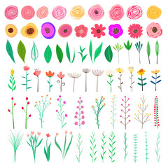 Floral element set. Vector decorative flower and leaf. Spring elements.