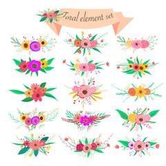 Floral element set. Vector decorative flower and leaf. Spring elements.