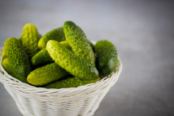 Whole fresh organic cucumbers in a white basket on a gray background.