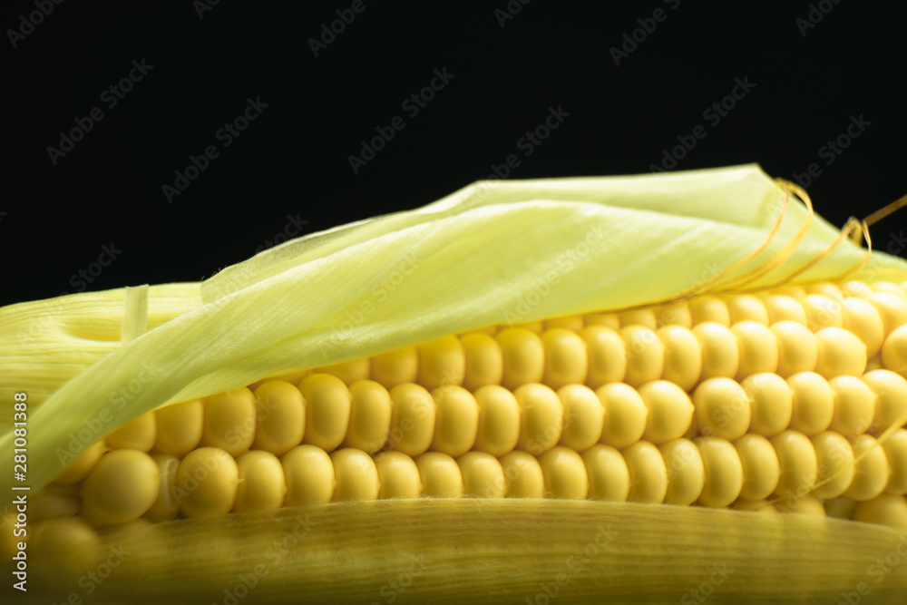 Poster close up beautiful fresh corn maze on a black background. macro view.