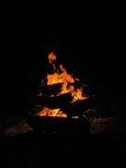 Fogueira retrato