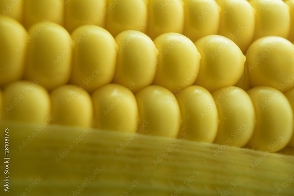 Poster close up beautiful corn maze background. macro view.