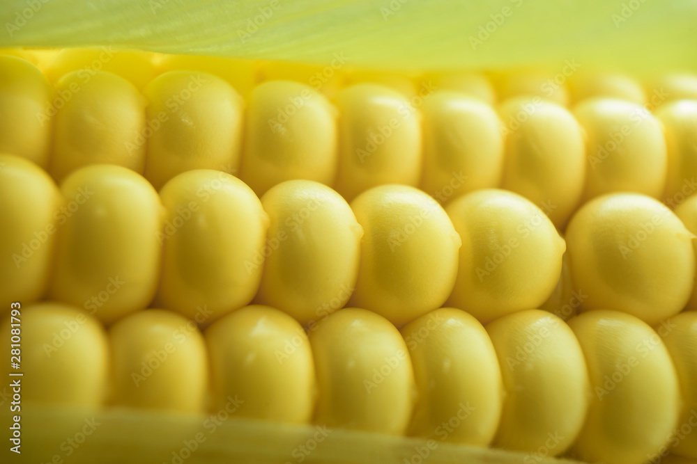 Poster Close up beautiful corn maze background. Macro view.