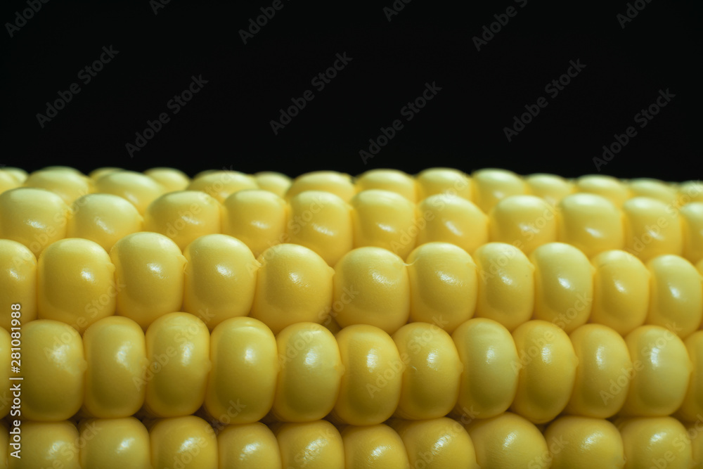 Poster close up beautiful fresh corn maze on a black background. macro view.