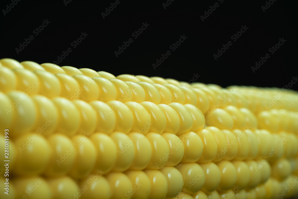 Poster close up beautiful fresh corn maze on a black background. macro view.