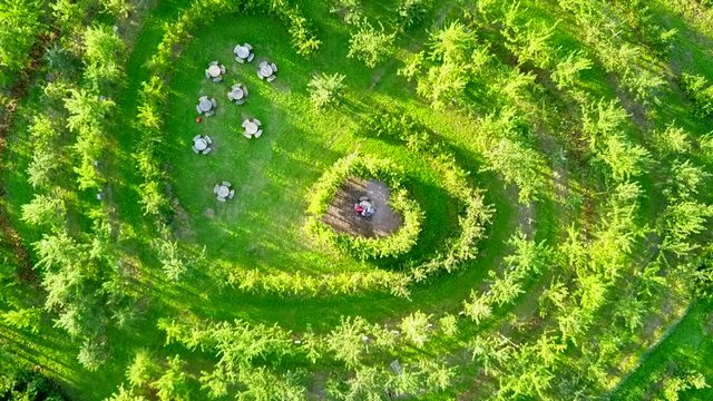 Aerial, top down, drone shot, rising above a heart shaped maze, in middle of green, apple orchard rows, on a sunny day, in Hamburg, Germany