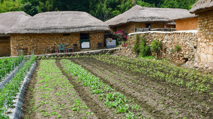 The Nagan Eupseong folk village