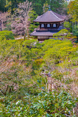 Aerial View Traditional District of Kyoto, Japan