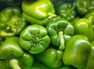 Obraz na płótnie Canvas Fresh green paprika peppers farm harvest. Sweet green peppers capsicum background. Harvesting. 