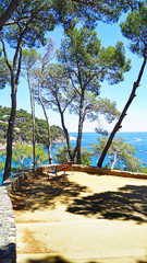 Llanfranch, camino de Ronda, Calleja de Palafrugell, Girona, Catalunya, España, Europa