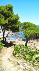 Llanfranch, camino de Ronda, Calleja de Palafrugell, Girona, Catalunya, España, Europa