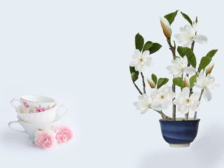 Blooming magnolia fkiwer vase wuth coffee cup.