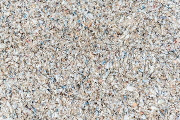The view from the top. Summer beach and sea background with seashell on the beach. The concept of vacation, vacation, travel services, background for the subject flat lay. Copy space