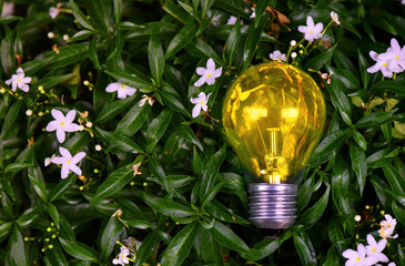 Bright light bulbs placed on a green leaf background Natural energy concept