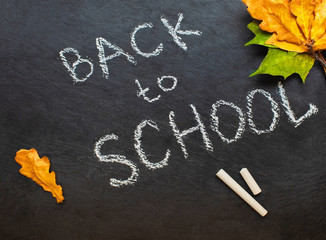 Back to school concept. Black chalkboard with pieces of chalks and autumn yelllow leaves isolated on white background. Flat lay .