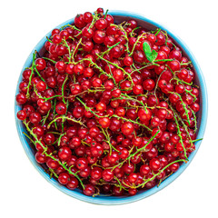 Red currant berries in a bowl with leaves  isolated on white background. Heap of Fresh Currant. Top view.