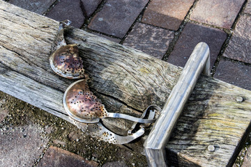 Dessous auf der Holzbank