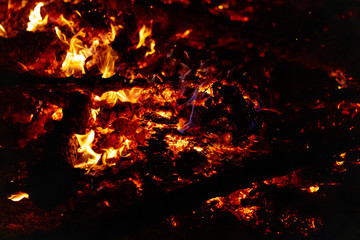 Fototapeta na wymiar Camp Fire Christmas in July Tree Burning