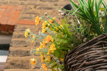 Close up of street hanging flower basket at the town house wall