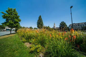 Tour Lu in Nantes on a Sunny Summer Day with Green Vegetation and Orange Common Torch Lilly Flowers