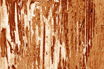 Weathered painted wooden wall in orange tone.