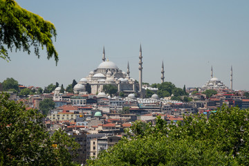 Fototapeta na wymiar Istanbul, Turkey. Suleymaniye Mosque