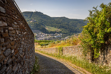 Obraz premium Wanderwege durch die Weinberge bei Bernkastel-Kues an der Mosel