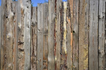  Textural background, old wooden fence from old boards.