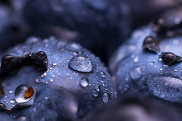 Close-up of a blueberry. The berry is wet by drops of water.