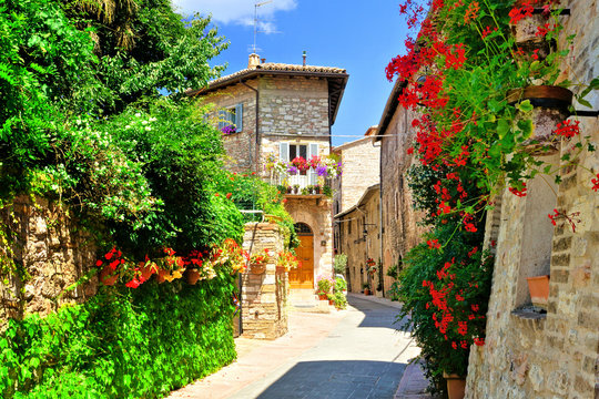 Fototapeta Flower filled medieval street in the beautiful old town of Assisi, Italy