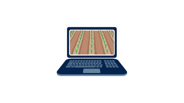 Smart farming, agriculture and information technology - video animation of crops growing on a laptop screen (with alpha channel/transparent background)