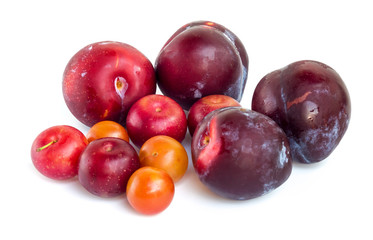 Couple plums of different varieties isolated on white background
