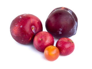 A few plums of different varieties isolated on white background