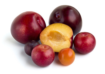 Group of plums of different varieties isolated on white background
