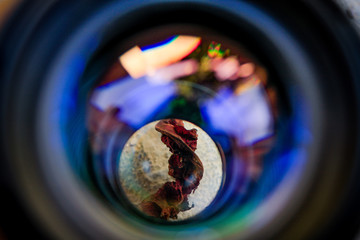 macro lens reflection