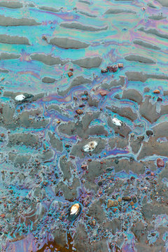 Colored water on stones and sand.Environmental pollution
