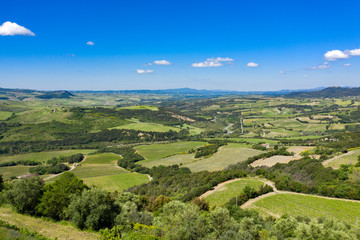 Rolling hills of Tuscany, Italy, on a sunny summers day. Fields and trees cover the lush landscape.