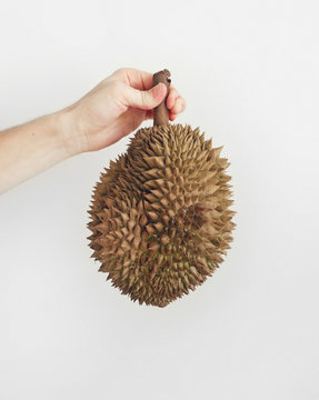 Crop hand holding durian