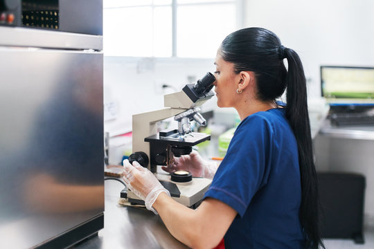 Laboratory worker checking a sample